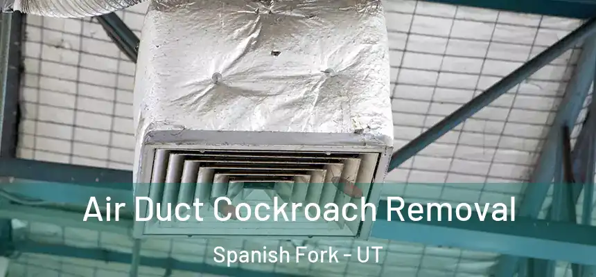  Air Duct Cockroach Removal Spanish Fork - UT