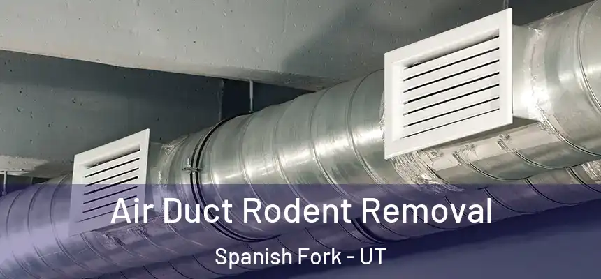 Air Duct Rodent Removal Spanish Fork - UT