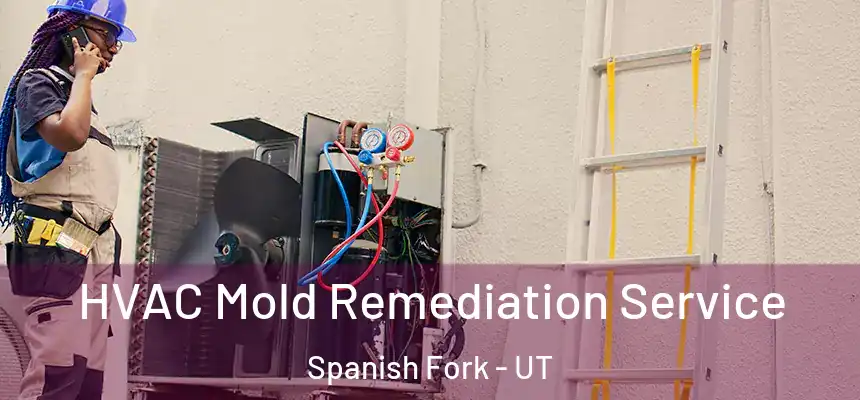  HVAC Mold Remediation Service Spanish Fork - UT