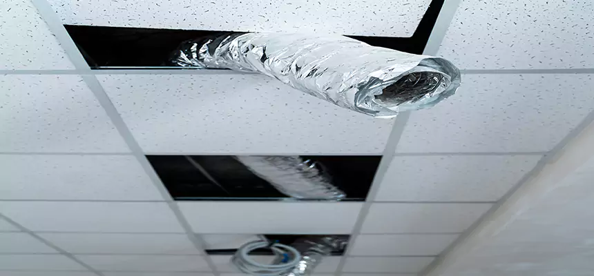 Our Air Duct Pet Hair Removal Services in Spanish Fork, UT