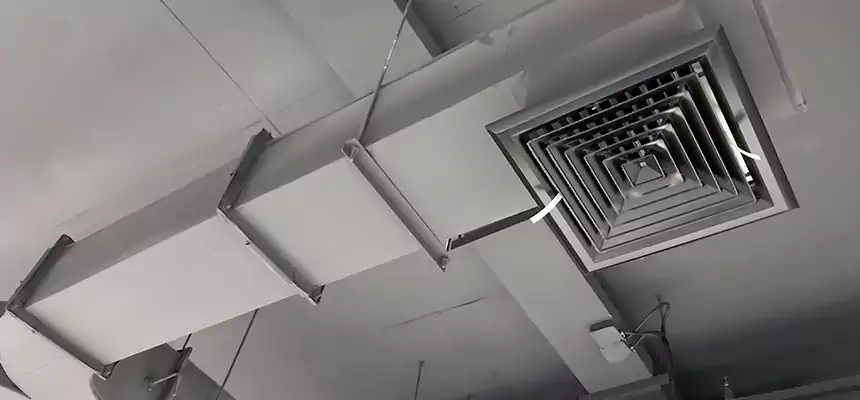 Restorative Allergy Relief Vent Cleaning – Coil, Blower & Housing Detail in Spanish Fork