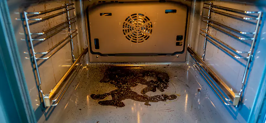 Our Dryer Vent Mold Cleaning Services in Spanish Fork, UT