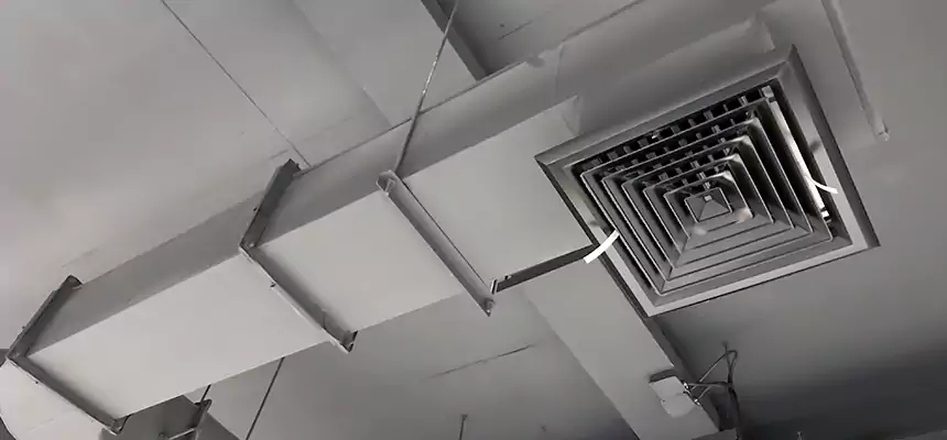 Our Pest Removal From Ducts Services in Spanish Fork, UT