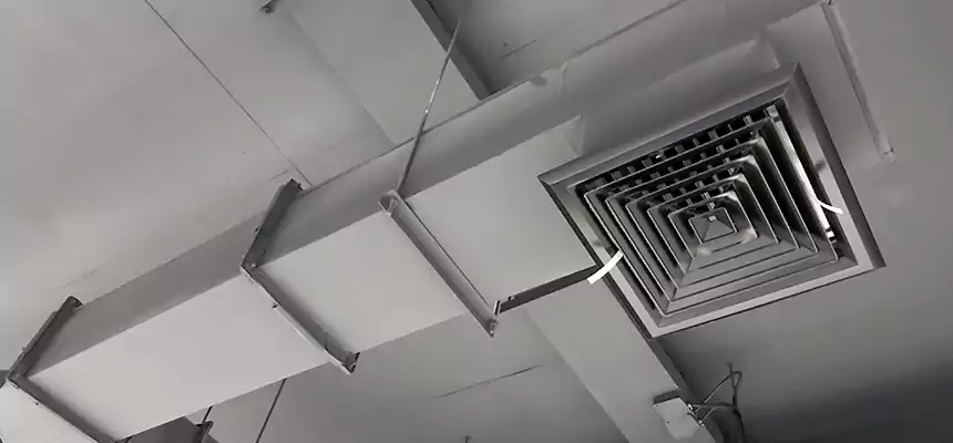 Our Rodent Droppings In Vents Services in Spanish Fork, UT