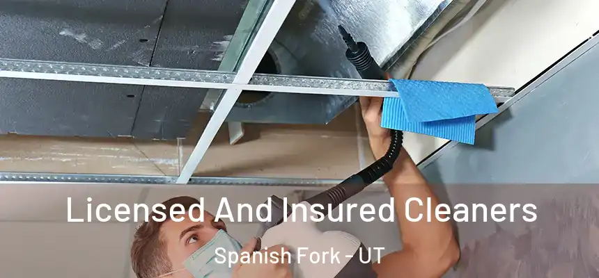 Licensed And Insured Cleaners Spanish Fork - UT