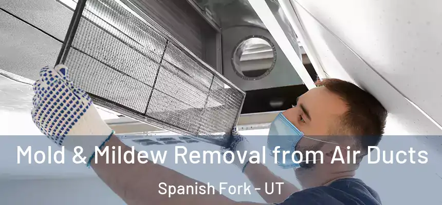  Mold & Mildew Removal from Air Ducts Spanish Fork - UT