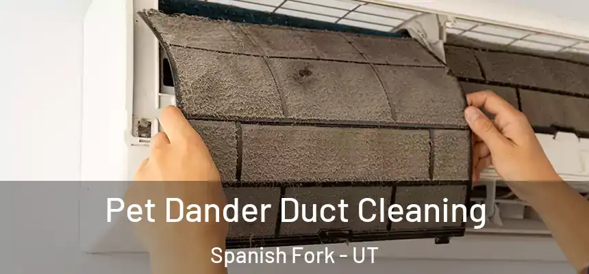  Pet Dander Duct Cleaning Spanish Fork - UT