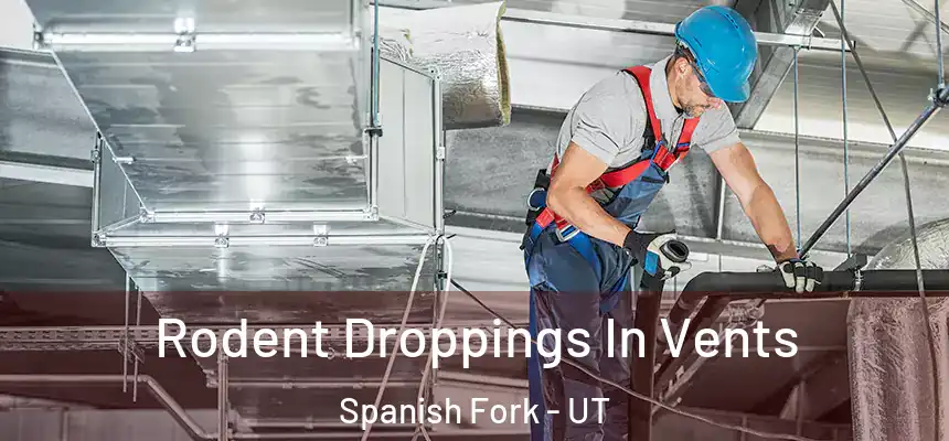  Rodent Droppings In Vents Spanish Fork - UT