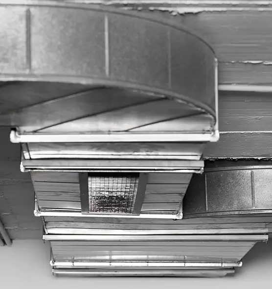 Professional Air Duct Pest Removal in Spanish Fork, UT