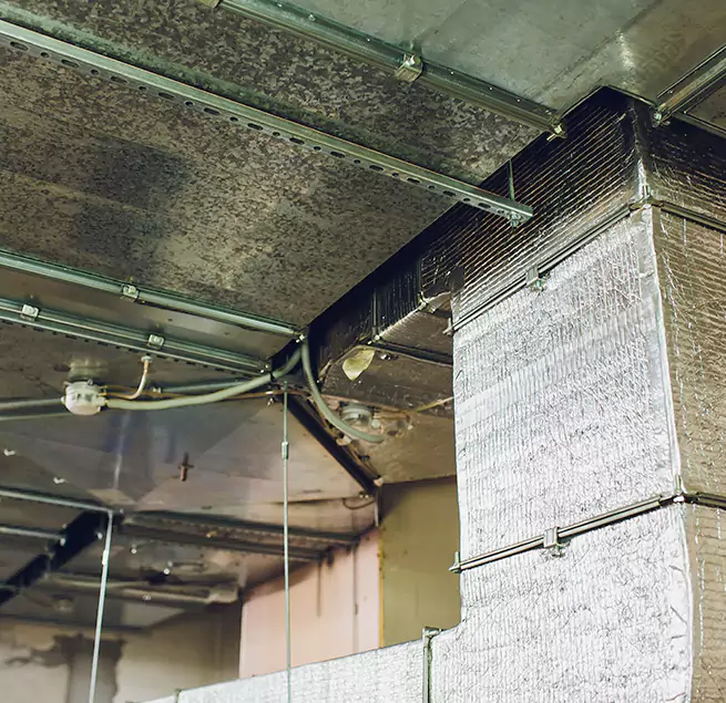 Why Homeowners & Businesses Trust Us in Spanish Fork, UT?