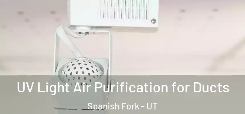  UV Light Air Purification for Ducts Spanish Fork - UT